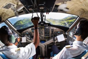 Pilots in the Cockpit