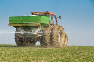 Farmer fertilizing the wheat