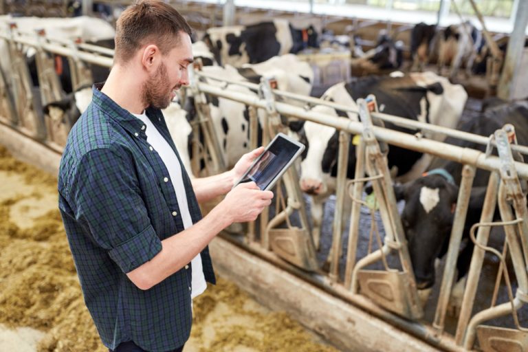 Farm owner using technology