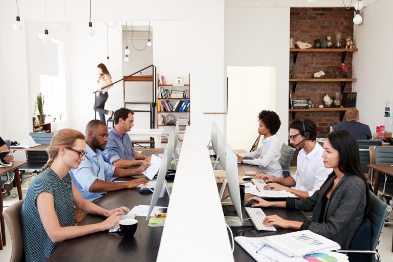 employees in the office working